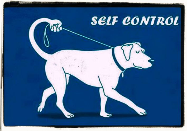 Self-control quotes and aphorisms